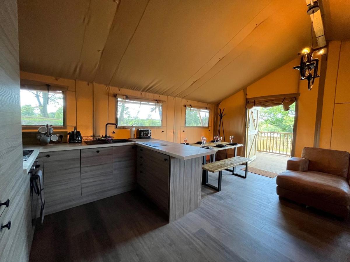 Aladdin Safari Tent Tenby Exteriér fotografie